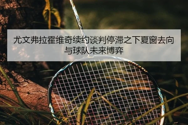 尤文弗拉霍维奇续约谈判停滞之下夏窗去向与球队未来博弈