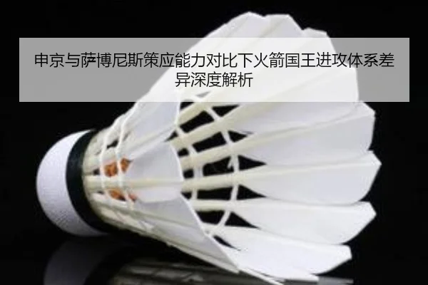 申京与萨博尼斯策应能力对比下火箭国王进攻体系差异深度解析